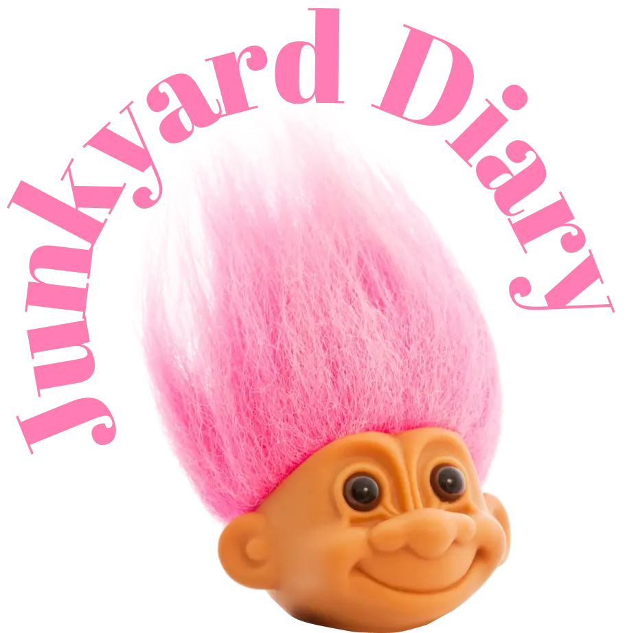 Junkyard Diary